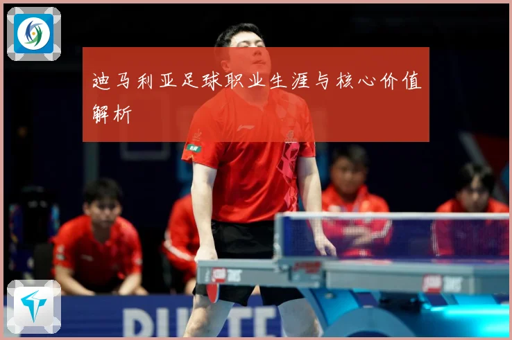 迪马利亚足球职业生涯与核心价值解析
