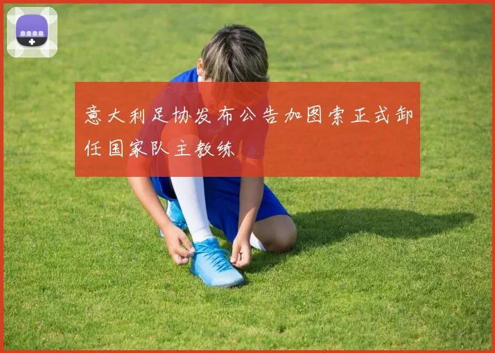 意大利足协发布公告加图索正式卸任国家队主教练