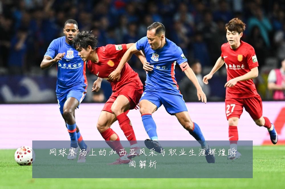 网球赛场上的加西亚风采与职业生涯辉煌瞬间解析