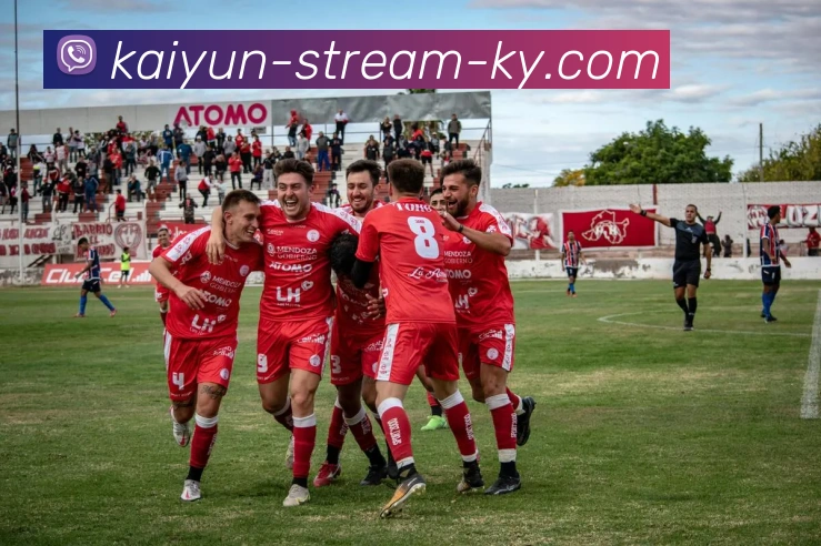 开云平台生态图